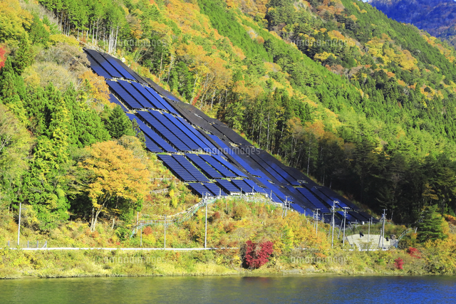 山の斜面の太陽光発電パネル[26121044274]の写真・イラスト素材