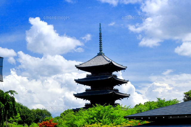 夏雲と東寺の五重塔 の写真素材 イラスト素材 アマナイメージズ