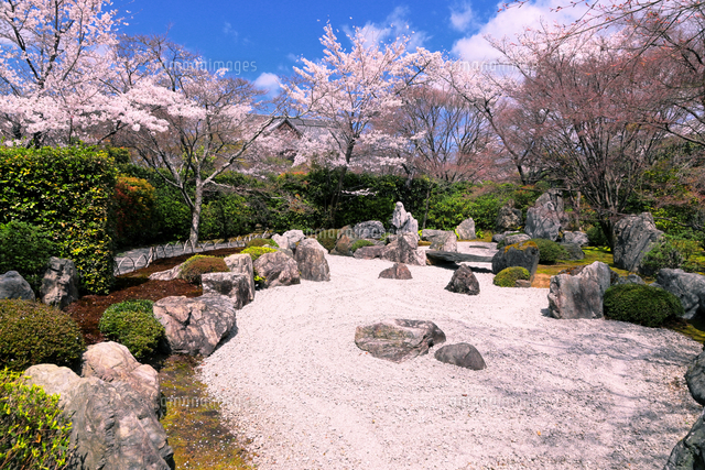将軍塚青龍殿の枯山水庭園[26121047004]の写真・イラスト素材｜アマナ