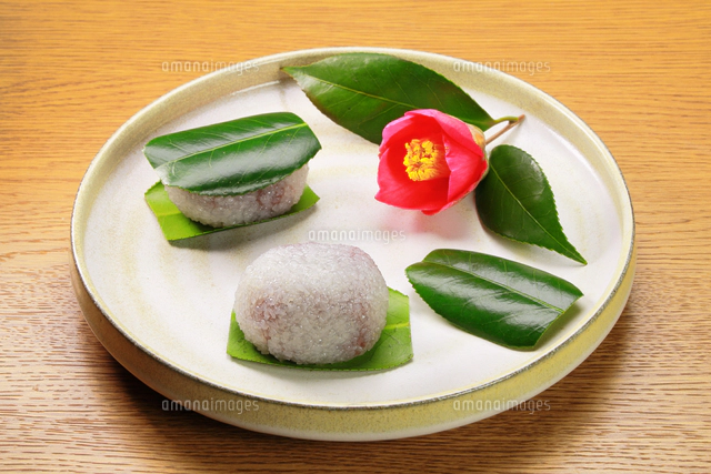 椿餅[26121047041]の写真・イラスト素材｜アマナイメージズ