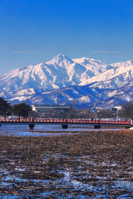 冬の妙高山と高田城址公園[26121047054]の写真・イラスト素材｜アマナ