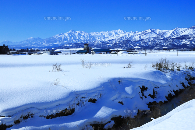 雪の妙高山と上越市の雪原[26121047062]の写真・イラスト素材｜アマナ