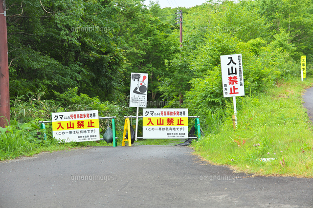 クマによる入山禁止の看板[26127009701]の写真・イラスト素材｜アマナ