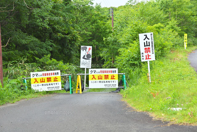クマによる入山禁止の看板[26127009701]の写真・イラスト素材｜アマナ