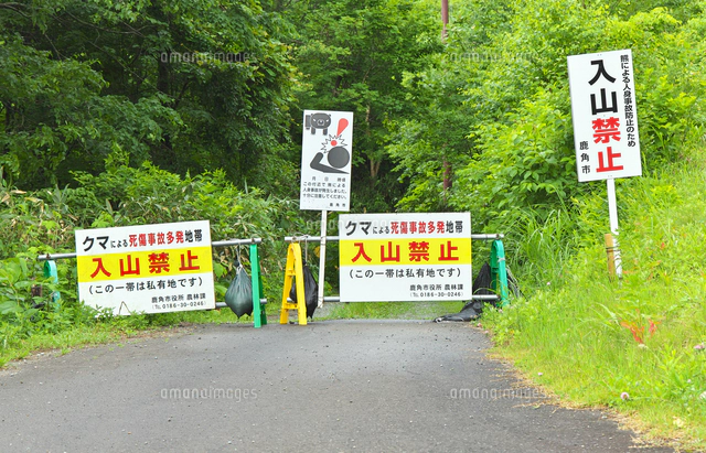 やま(購入禁止) クマによる入山禁止の看板[26127009701]の写真・イラスト素材｜アマナ
