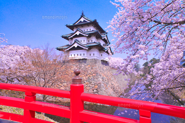 弘前城 の写真素材 イラスト素材 アマナイメージズ