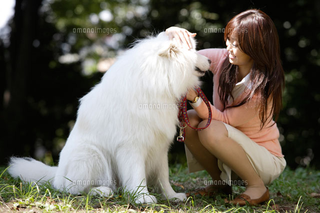 公園にいる大型犬と代女性 d の写真素材 イラスト素材 アマナイメージズ