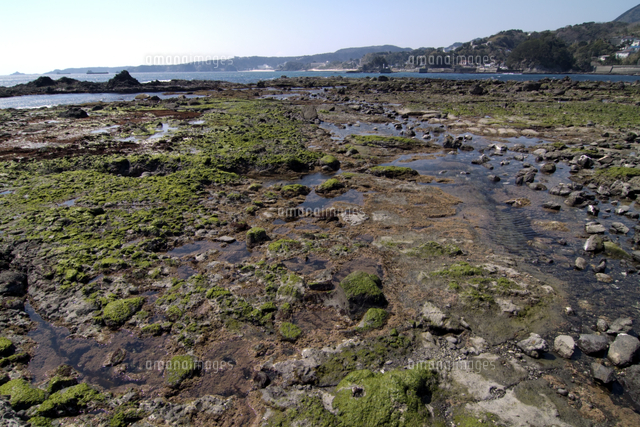 タイドプールの出来る岩礁帯 干潮時 の写真素材 イラスト素材 アマナイメージズ