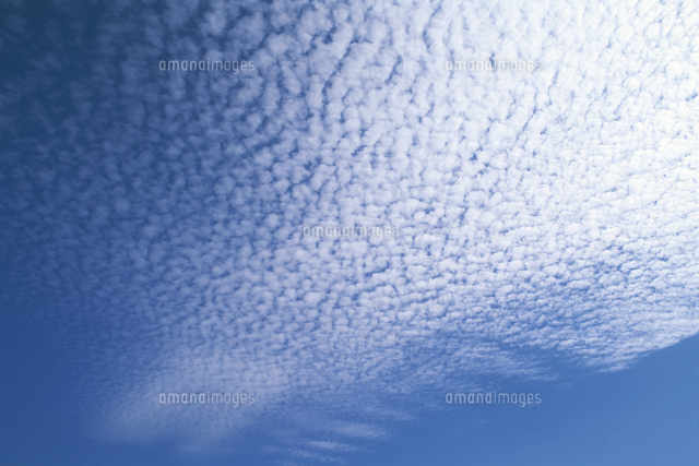 秋の空 いわし雲 の写真素材 イラスト素材 アマナイメージズ