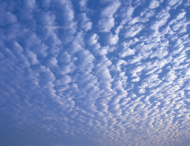 ひつじ雲（高積雲）[32053000489]の写真・イラスト素材｜アマナイメージズ