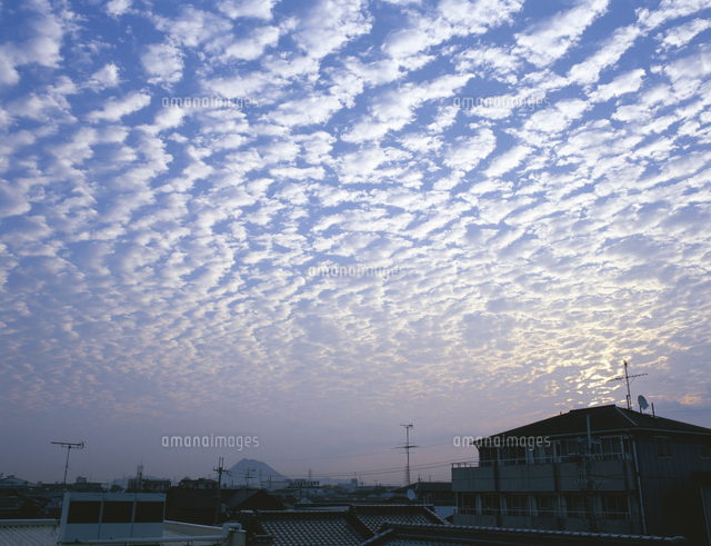 秋の空：ひつじ雲[32053000490]の写真・イラスト素材｜アマナイメージズ