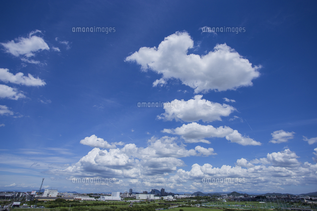 夏の雲、街の上空に積雲、綿雲の群れ[32053025753]の写真・イラスト