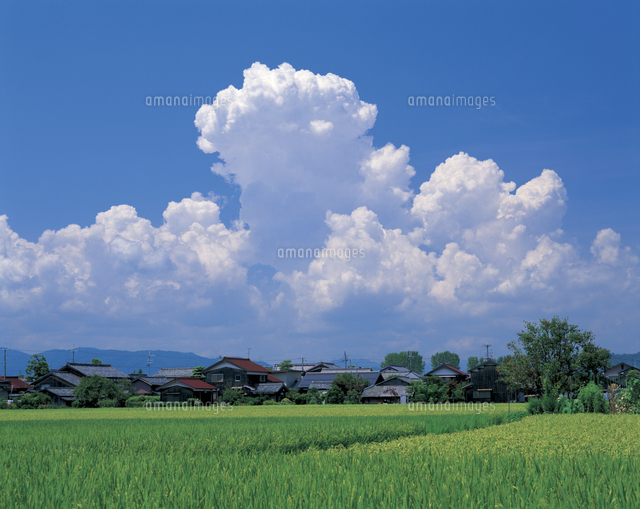 入道雲 の写真素材 イラスト素材 アマナイメージズ 入道雲 の写真素材 イラスト素材 アマナイメージズ