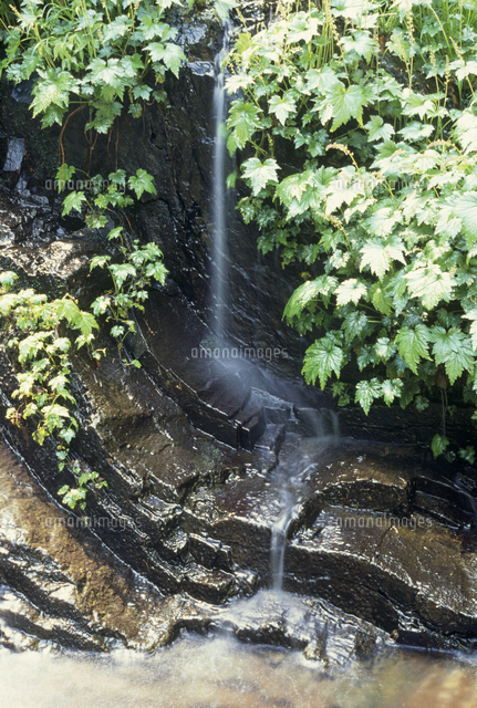 川の源流域の流れ の写真素材 イラスト素材 アマナイメージズ