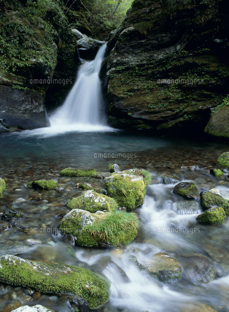 祖谷川上流部 の写真素材 イラスト素材 アマナイメージズ