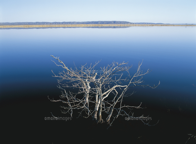 釧路湿原 赤沼[32109000107]の写真・イラスト素材｜アマナイメージズ