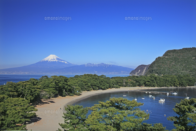 伊豆から望む富士山と駿河湾 戸田港 の写真素材 イラスト素材 アマナイメージズ