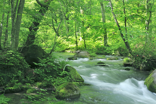 奥入瀬渓流の石ヶ戸の流れ の写真素材 イラスト素材 アマナイメージズ