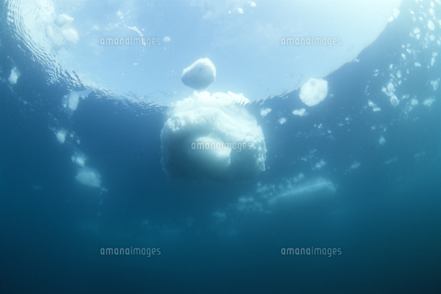 海中から見た流氷 の写真素材 イラスト素材 アマナイメージズ