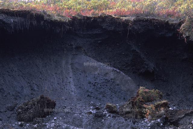 北緯64度、溶ける永久凍土に露出したアイスウェッジ（氷楔