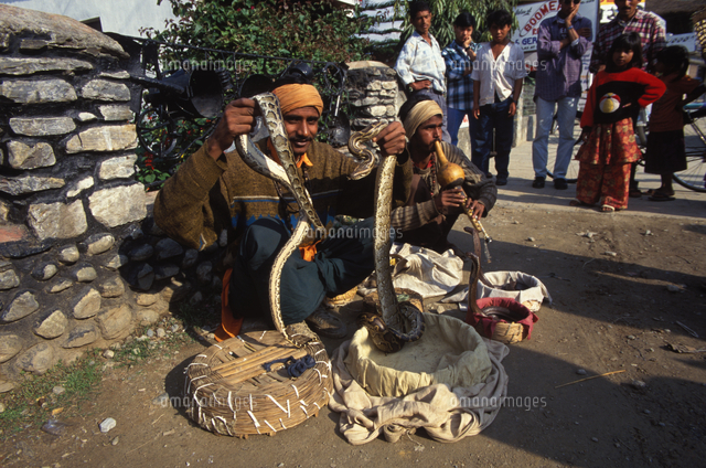 インド人のヘビ使い の写真素材 イラスト素材 アマナイメージズ