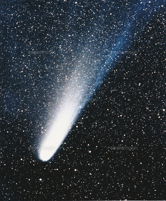 ハレー彗星 (c)fujii akira/Nature Production