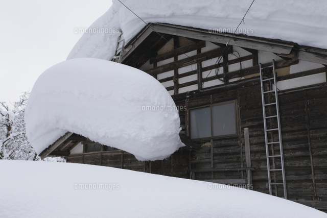 屋根に積もった雪（豪雪地域）[32186002354]の写真・イラスト素材