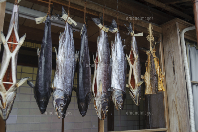 軒に吊るされ、北風で乾燥される「塩引き鮭」[32203008067]の写真