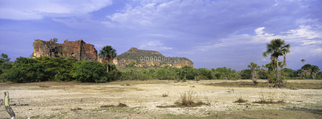 セラード草原の赤い砂岩の崖 の写真素材 イラスト素材 アマナイメージズ