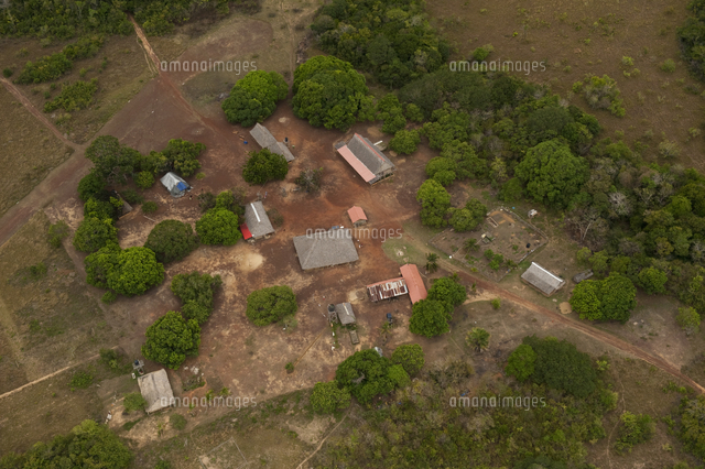 Karanambu Ranch Savannah Grassland Northern Rupunu[32246009619]の写真素材 ...