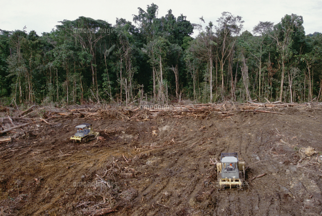 熱帯雨林が伐採されたクツブ湖南部ゴベ石油基地 の写真素材 イラスト素材 アマナイメージズ