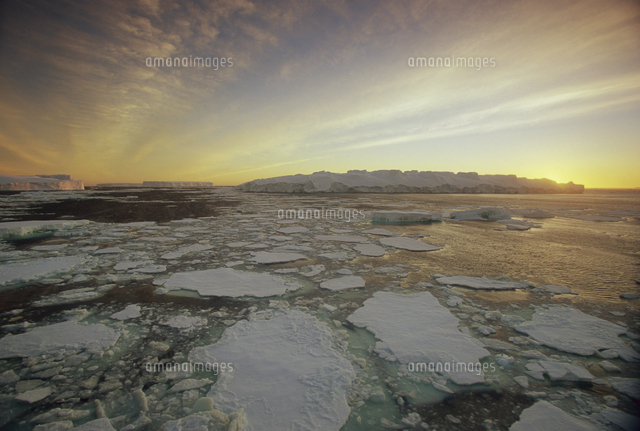 暁の氷山と流氷 の写真素材 イラスト素材 アマナイメージズ
