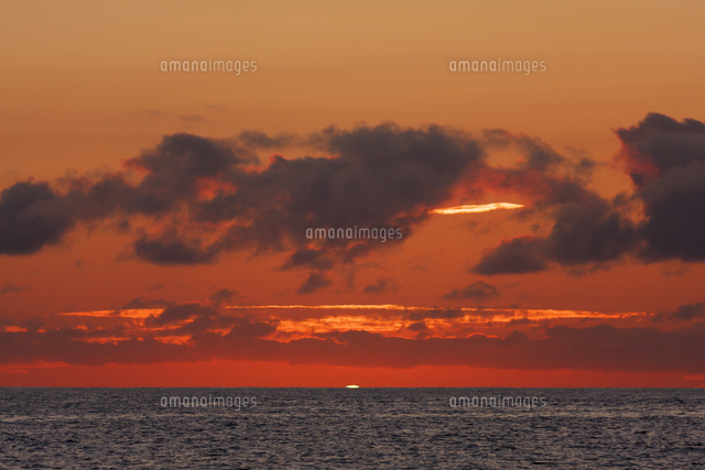 小笠原の海に沈む夕日（グリーンフラッシュ）[32282002278]の写真