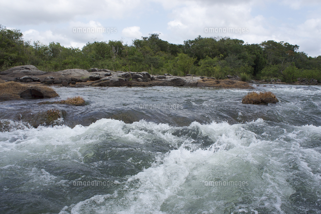 シングー川の急流 の写真素材 イラスト素材 アマナイメージズ