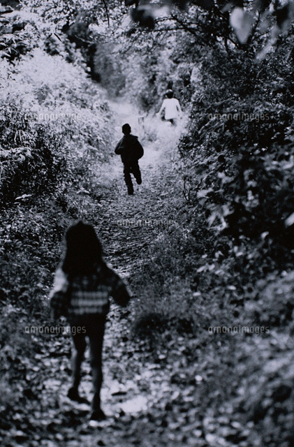 森のなかの日本人少年少女 後ろ姿 B W の写真素材 イラスト素材 アマナイメージズ