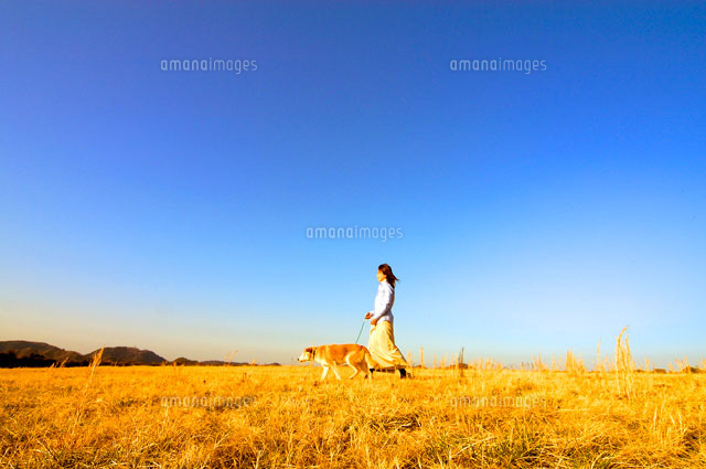 犬を連れて歩く女性 の写真素材 イラスト素材 アマナイメージズ