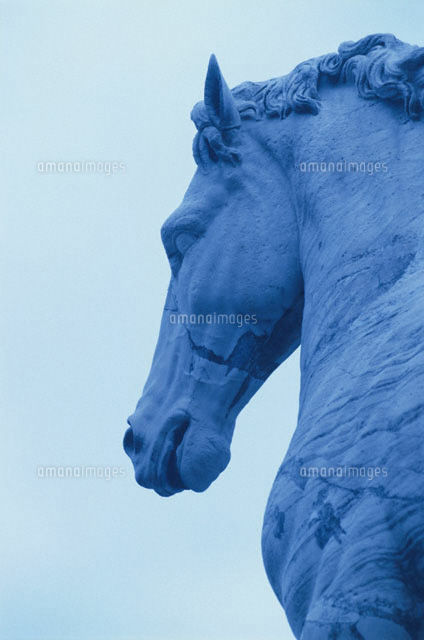 馬の彫刻（カピトリーニ美術館） ローマ イタリア[00282001430]の写真