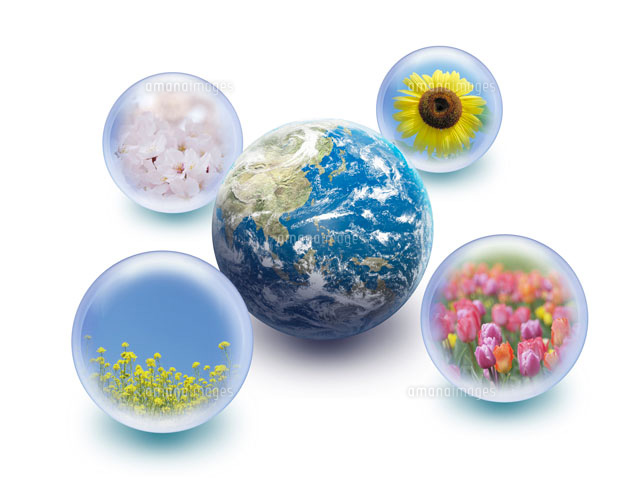 地球を囲む四つのガラス球体の中に花イメージ[00330001317]の写真