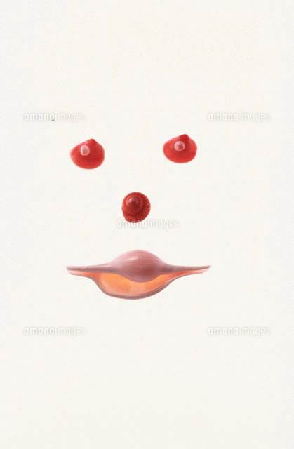 貝で作成している絵 貝で作成している絵 貝で作成している絵