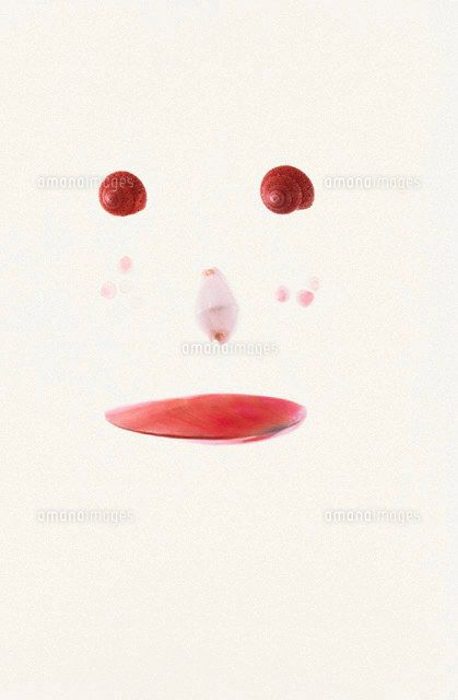 貝で作成している絵 貝で作成している絵