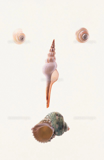 貝で作った顔[00677000009]の写真・イラスト素材｜アマナイメージズ