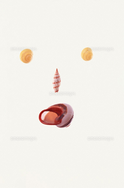 貝で作成している絵 【公式通販】