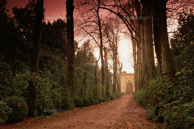 クラシカルな建物に向かう小道 フィレンツェ イタリア の写真素材 イラスト素材 アマナイメージズ