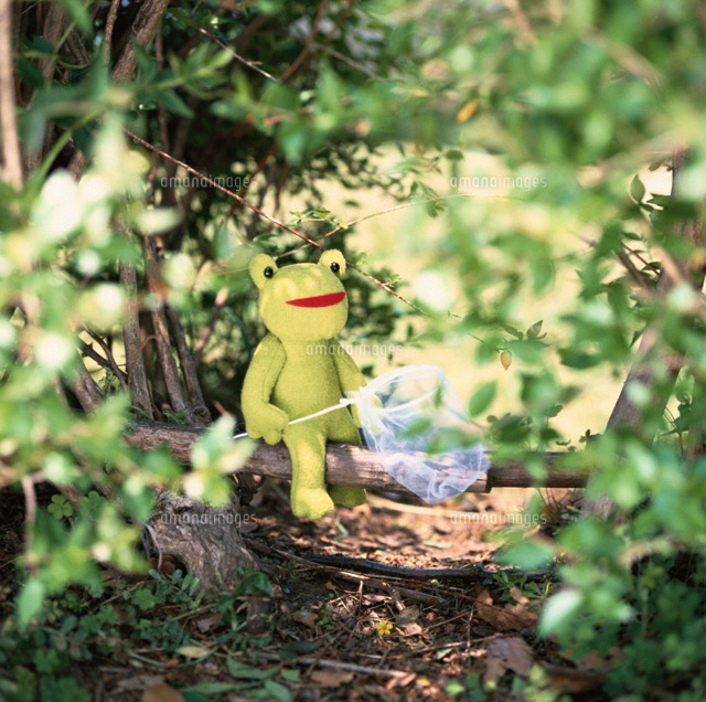 森虫取り網を持ったぬいぐるみのカエル フォトイラスト の写真素材 イラスト素材 アマナイメージズ