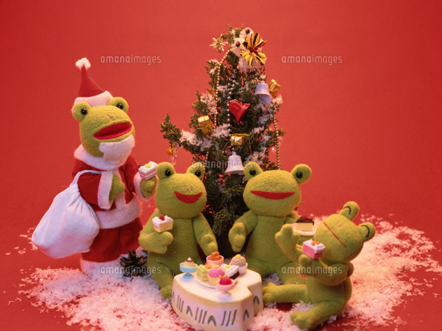 クリスマスツリーと4個のぬいぐるみのカエル フォトイラスト