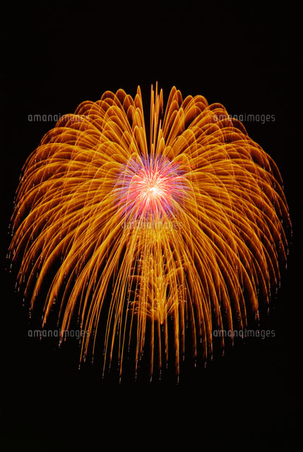 常総きぬ川花火大会 昇小花三重芯冠菊 の写真素材 イラスト素材 アマナイメージズ 常総きぬ川花火大会 昇小花三重芯冠菊 の写真素材 イラスト素材 アマナイメージズ