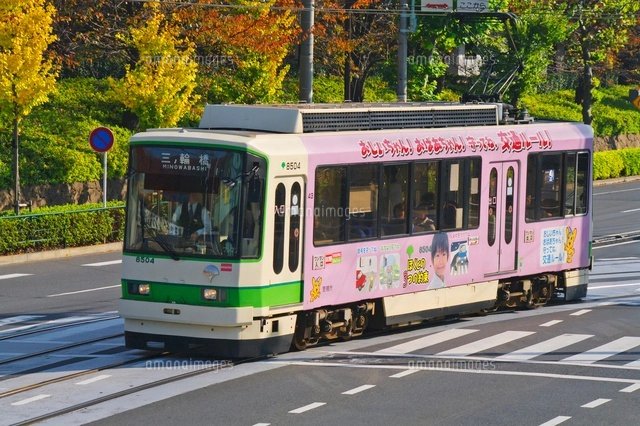 紅葉とラッピング都電荒川線[01071011179]の写真・イラスト素材