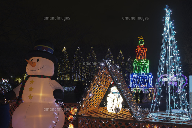 足立区元渕江公園の光の祭典クリスマスツリーイルミネーション の写真素材 イラスト素材 アマナイメージズ