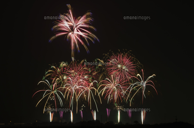 こうのす花火大会の音楽コラボ の写真素材 イラスト素材 アマナイメージズ