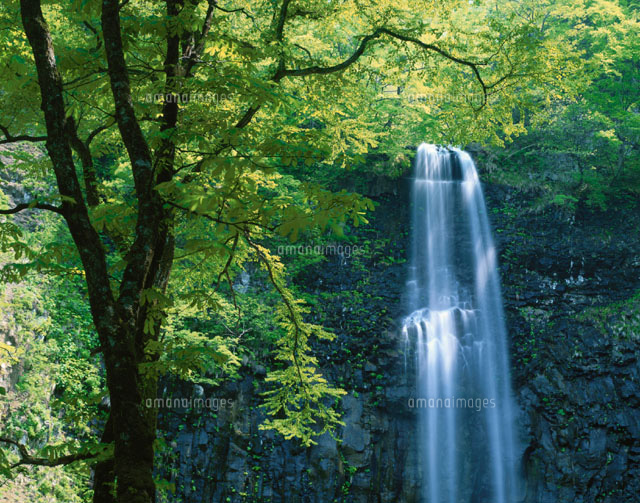 玉簾の滝 岩手県 の写真素材 イラスト素材 アマナイメージズ